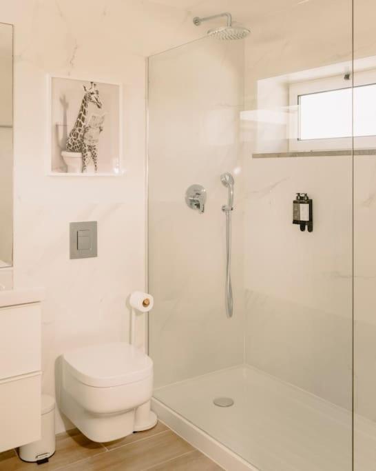 Glam House No Coracao Da Cidade Faro Exterior photo